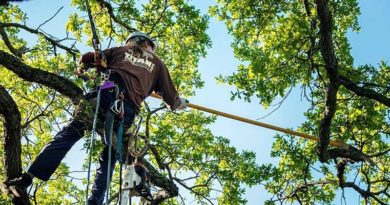 Tree Pruning Dos and Don’ts Tree Pruning Dos and Don’ts