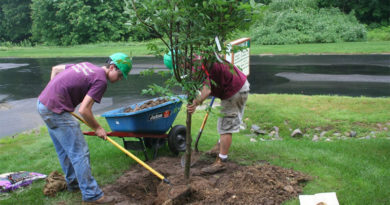 Prepping to Plant Prepping to Plant