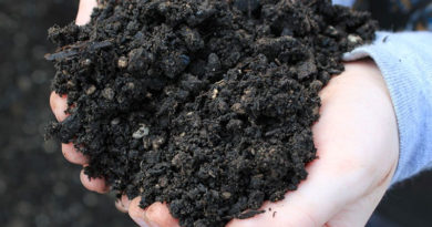 Soil and Roots FAQs Soil and Roots FAQs