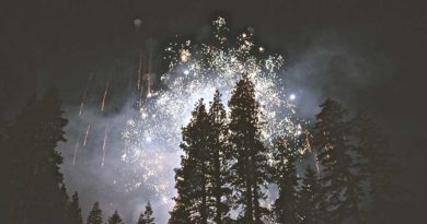 Fireworks and Trees Fireworks and Trees