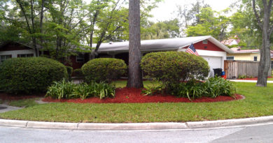 Mulch Dos and Don’ts Mulch Dos and Don’ts