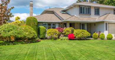 Help Your Trees Resist Pests – Try IPM Help Your Trees Resist Pests – Try IPM