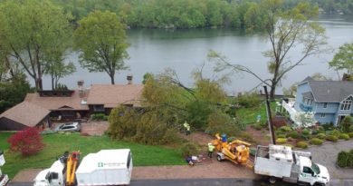 Leave Storm-Related Tree Work to Professionals storm damage tree cleanup